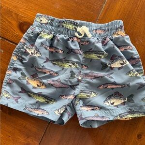 Blue Rooster Collection Boys' Fish Swim Shorts - Blue with Multicolor Fish